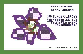 Drawing of an orchid composed of PETSCII character graphics.